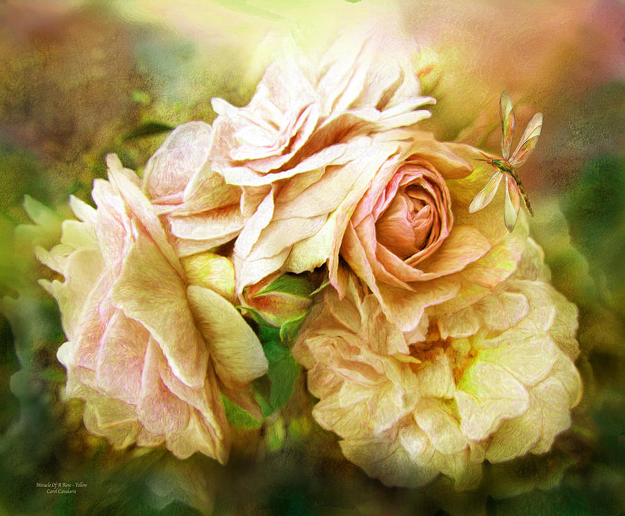Miracle Of A Rose - Yellow Mixed Media by Carol Cavalaris