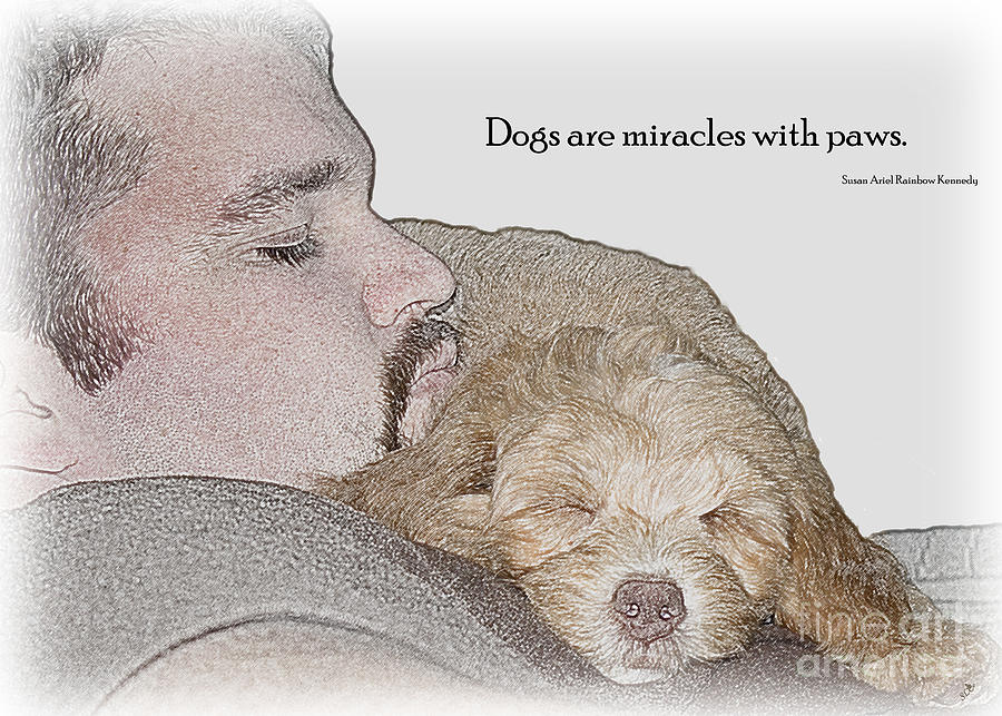 Miracles with Paws Photograph by Sandra Clark
