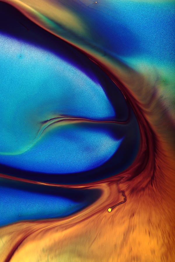 Mirage - Fluid Abstract Art Macro Photography by kredart Photograph by Serg Wiaderny