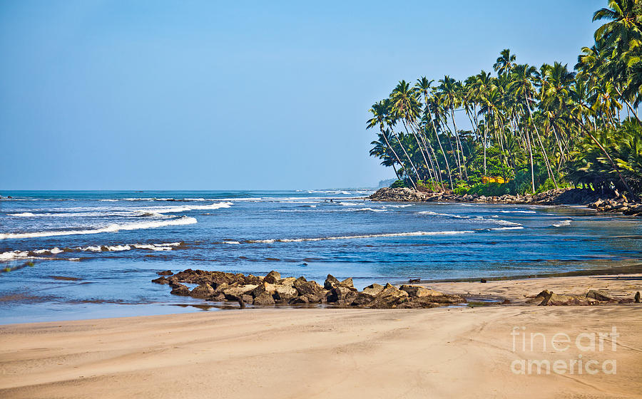 Mirissa beach Sri Lanka Photograph by Liz Leyden