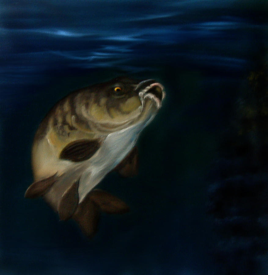 Fish Painting - Mirror Carp 4 by Cynthia Adams