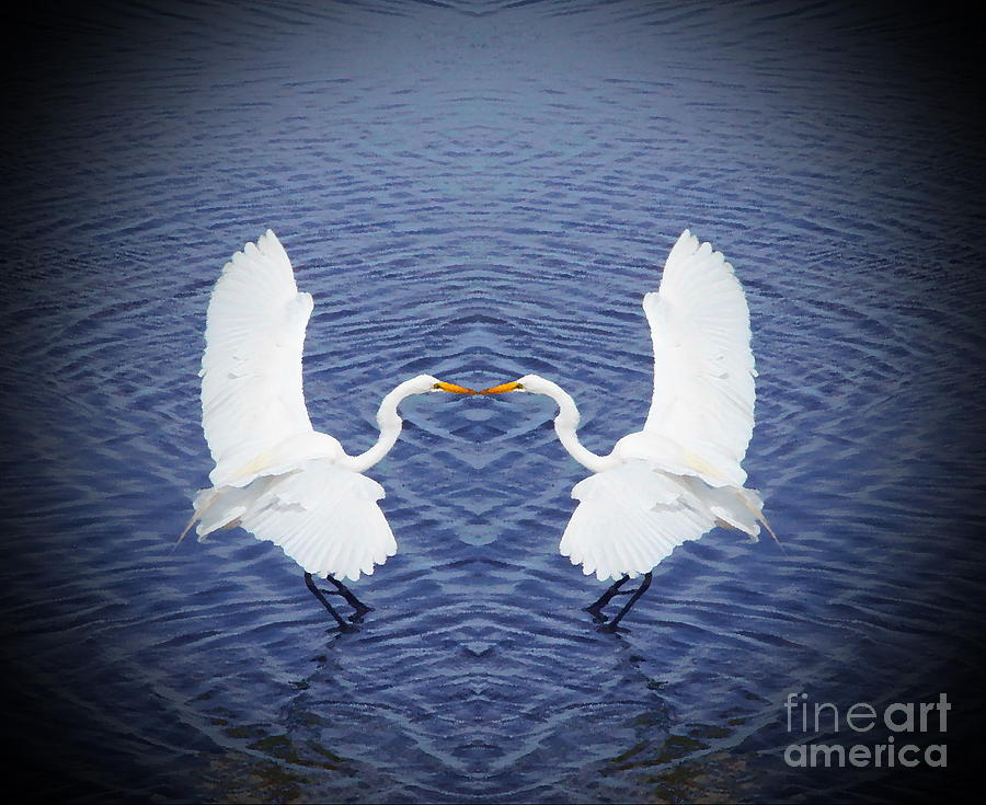 Egret Photograph - Mirror Image by Cathy Lindsey