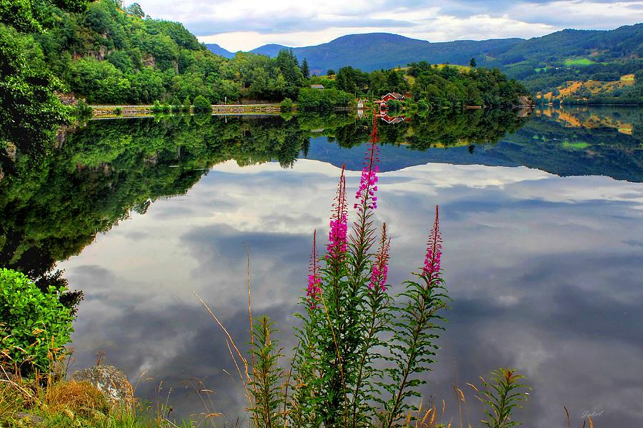 Discount Photograph - Mirror Lake Bjorheimsvatnet in Rogaland by Julia Fine Art And Photography Discount Photograph - Mirror Lake Bjorheimsvatnet in Rogaland by Julia Fine Art And Photography