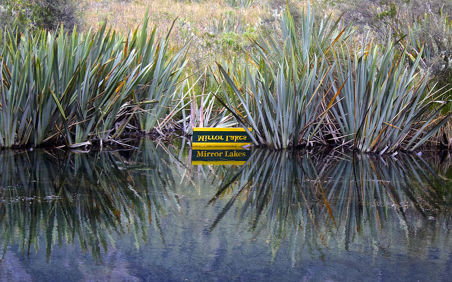 Upon Reflection Mirror Lakes New Zealand Photograph by Venetia Featherstone-Witty