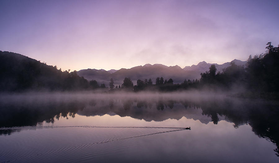Mirror-like Lake Matheson In New Zealand Photograph by Simonbradfield