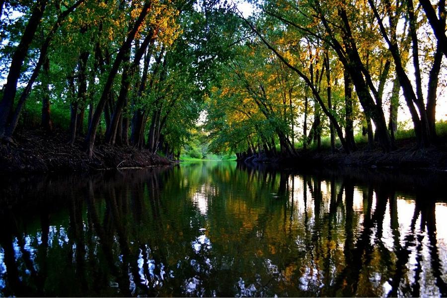 Mirror River Photograph by Shania Wright | Fine Art America