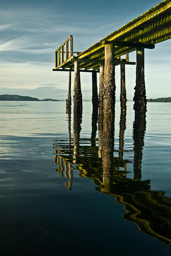 Mirrored Algae Pier Photograph by Jani Freimann