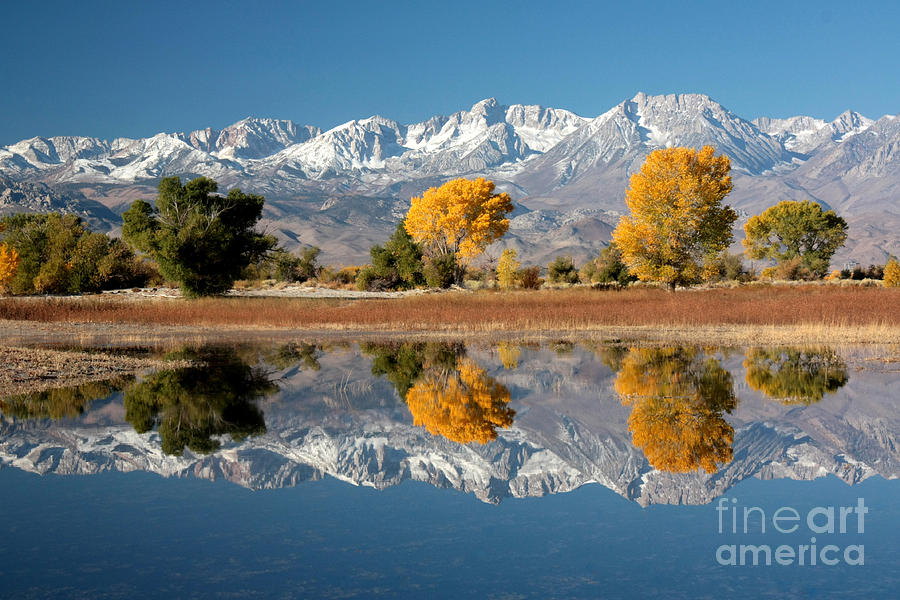 Mountain Photograph - Mirrored on golden pond by Frank Townsley