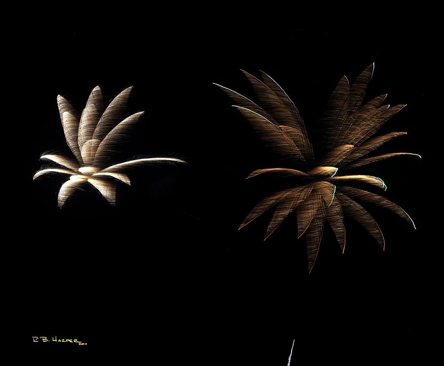Mirrored Petals - Fireworks at St Albans Bay Photograph by R B Harper