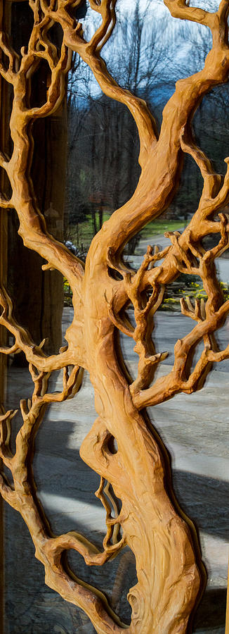 Mirrored Tree Photograph By Douglas Barnett Fine Art America