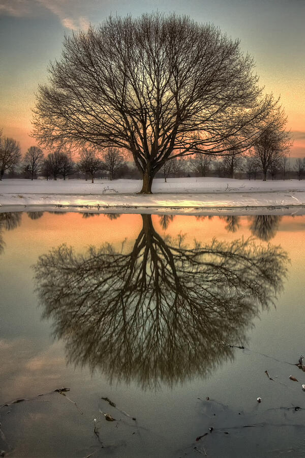 image of a mirror
