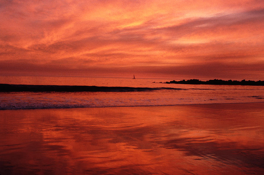 Mirrored Venice California Sunset Photograph by Tom Wurl