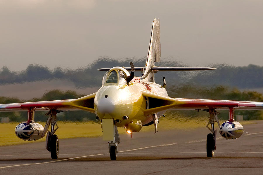 Miss Demeanor Photograph by Gerry Weatherhead - Fine Art America