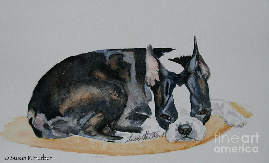 Miss Gracie Painting by Susan Herber