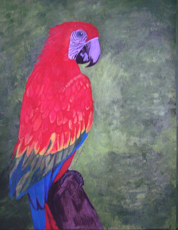 Miss Vicki'e Macaw Painting by Barbara Samples - Fine Art America