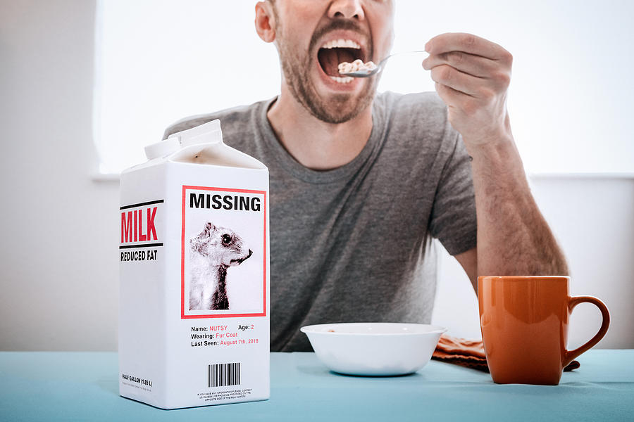 Missing Person Milk Carton With Squirrel While Man Eats Breakfast Photograph by RyanJLane