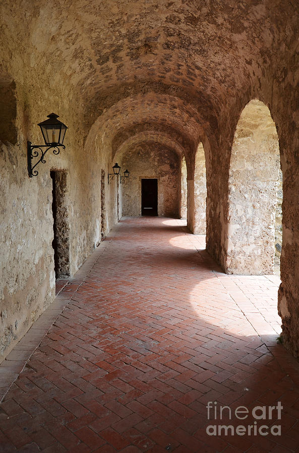 Mission Concepcion Promenade Walkway in San Antonio Missions National Historical Park Texas Vertical Photograph by Shawn OBrien