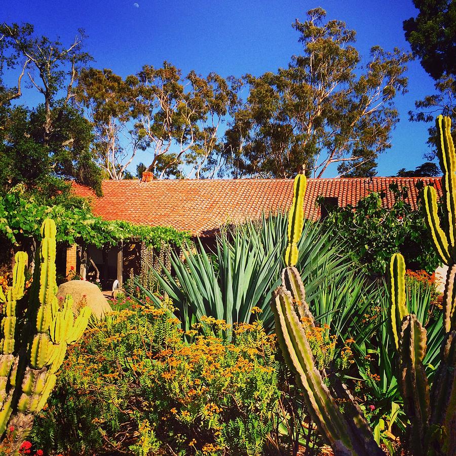 Mission Courtyard Photograph by Alie McKee - Fine Art America