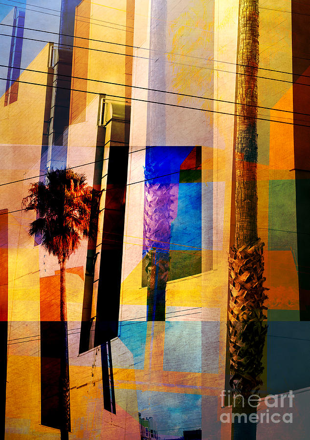 San Francisco Photograph - Mission District palm trees by Elena Nosyreva