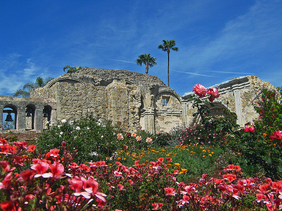 Mission Ruins and Flowers Photograph by Jim Halas - Fine Art America