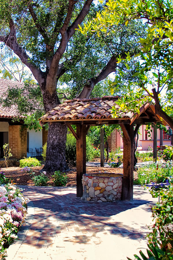Grape Photograph - Mission San Luis Obispo Courtyard  by Jon Berghoff