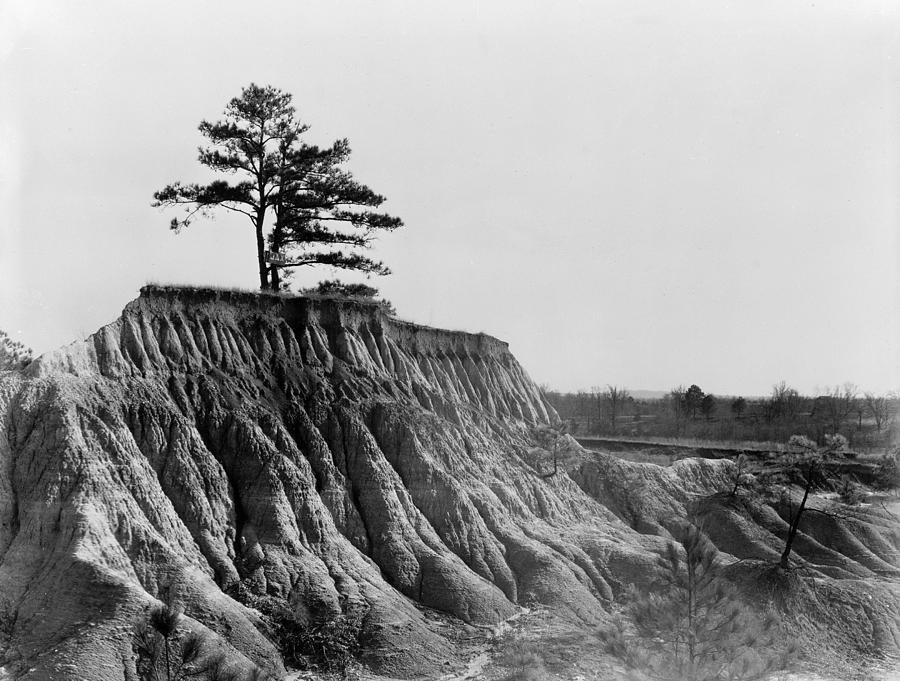 Mississippi Erosion, 1936 Photograph by Granger