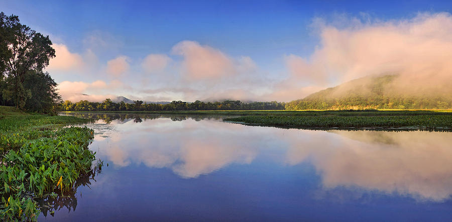Landscape Photograph - Mississippi Mist by Leda Robertson