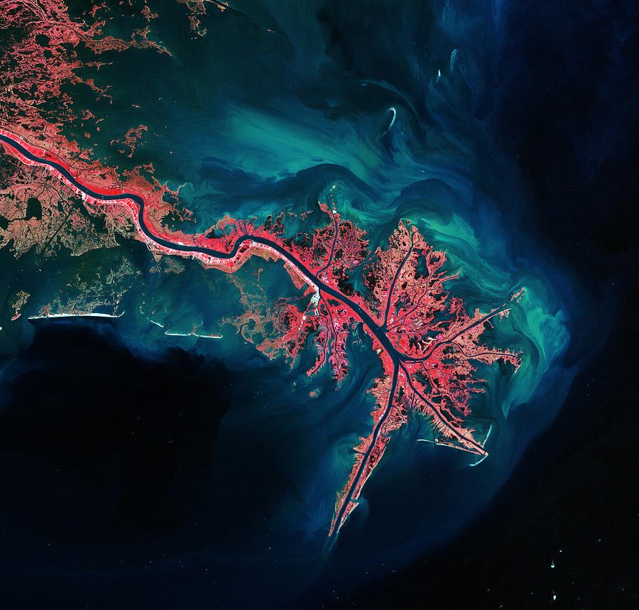 Interstellar Photograph - Mississippi River Delta by Celestial Images