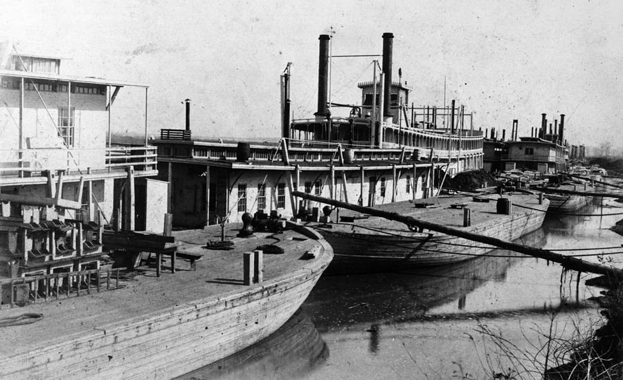 Mississippi Steamboats Photograph by Granger