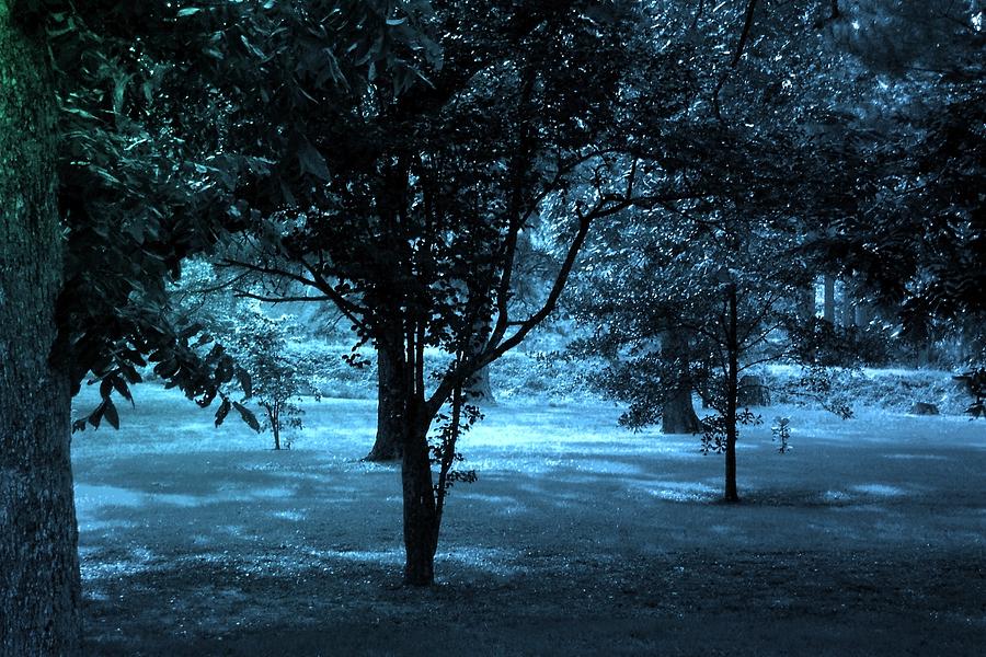 Mississippi Summer Lawn at Night Photograph by Lanita Williams