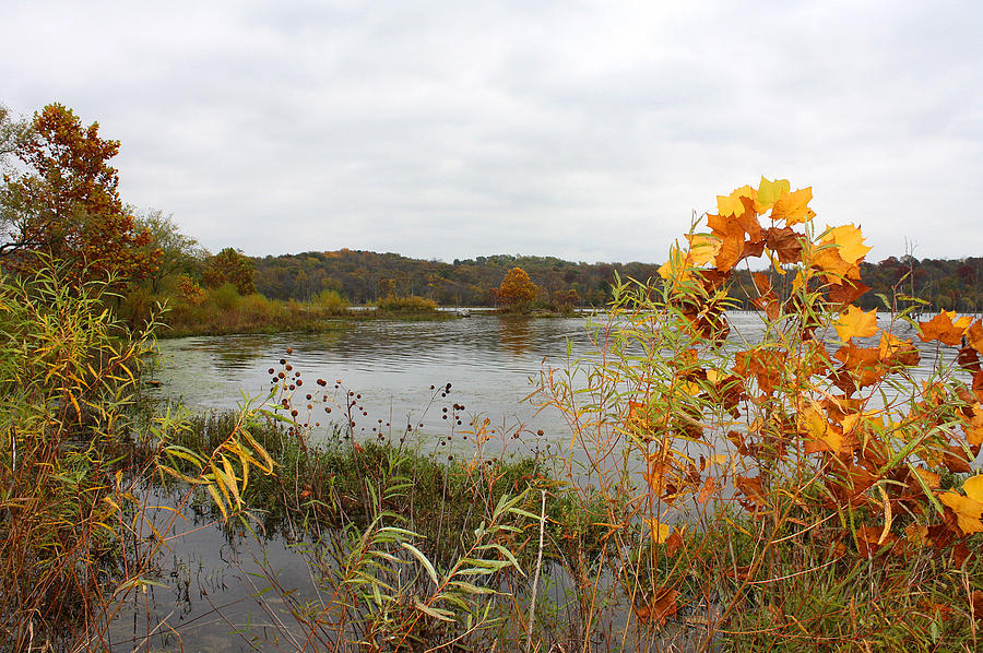 Missouri Autumn Photograph by Ellen Tully