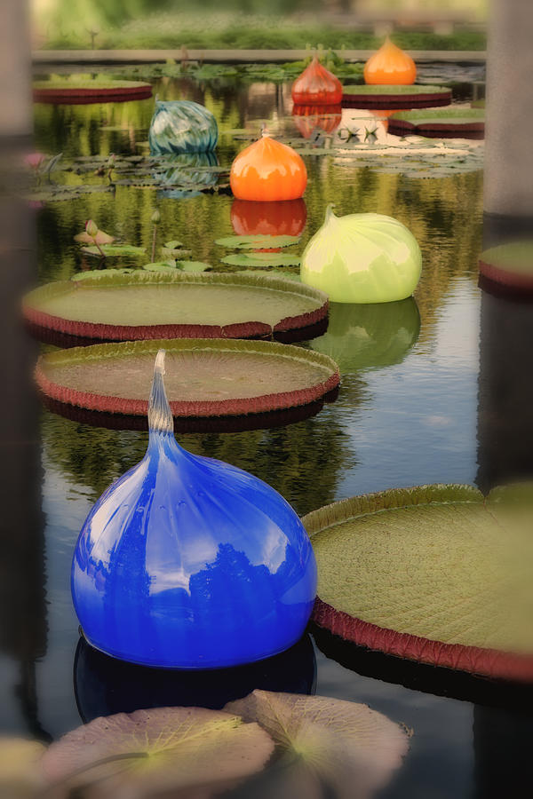 Missouri Botanical Garden Six Glass Spheres and Lilly Pads IMG 2464 Photograph by Greg Kluempers