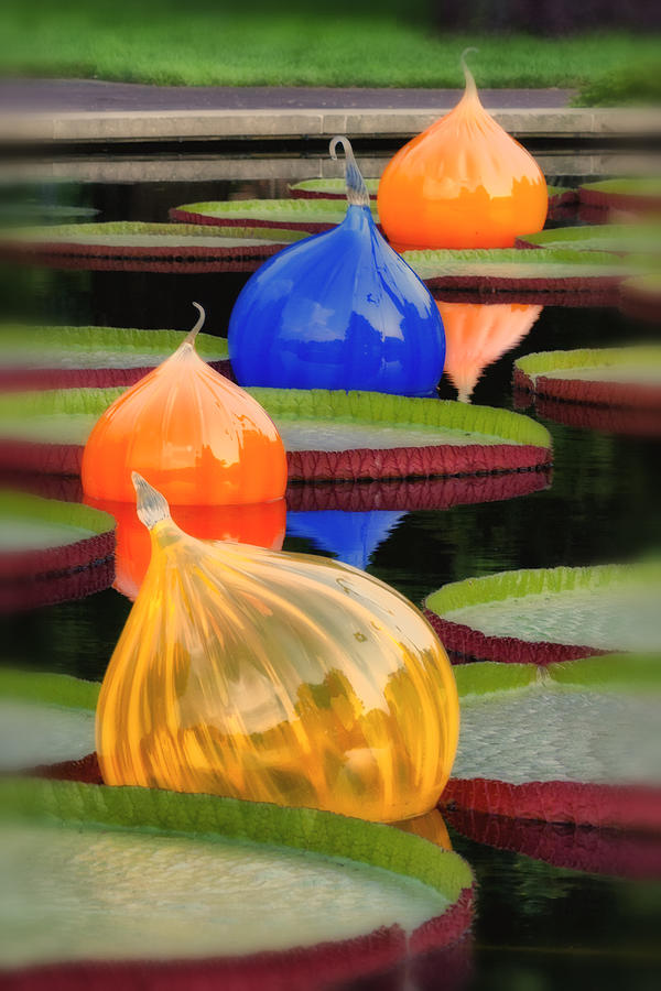 St. Louis Photograph - Missouri Botanical Garden Six Glass Spheres and Lilly Pads IMG 5490 by Greg Kluempers