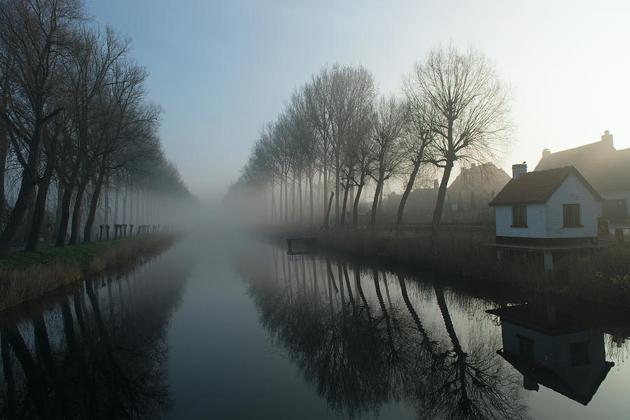 Tree Photograph - Mist Across The Canal by Elisabeth Wehrmann