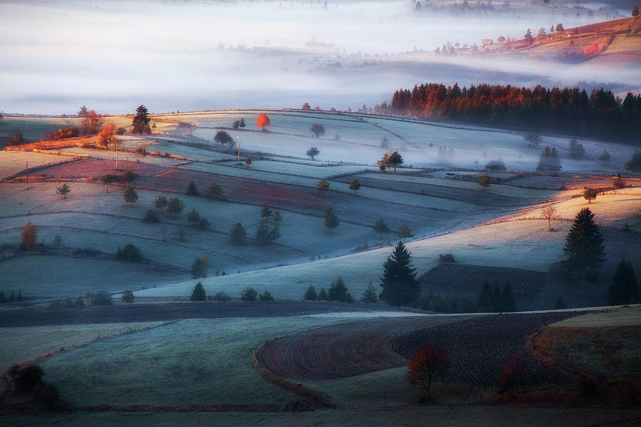 Mist Photograph by Amir Bajrich