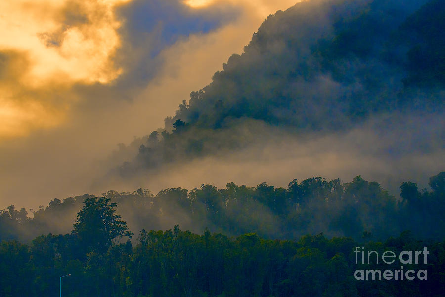 Mist amongst trees Photograph by Sheila Smart Fine Art Photography
