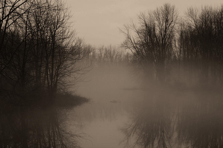 Mist And Mud Creek Photograph By Jim Vance - Pixels