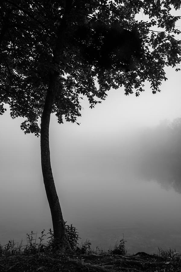 Mist and Serenity Photograph by Mark Rogers