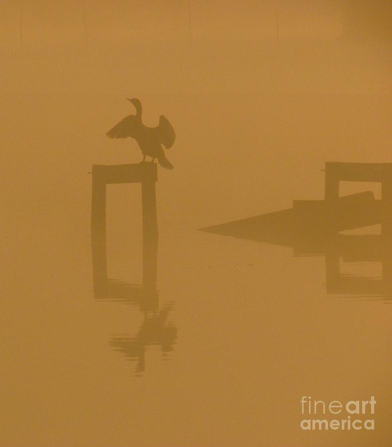 Mist At Dawn 04 Photograph by Rrrose Pix