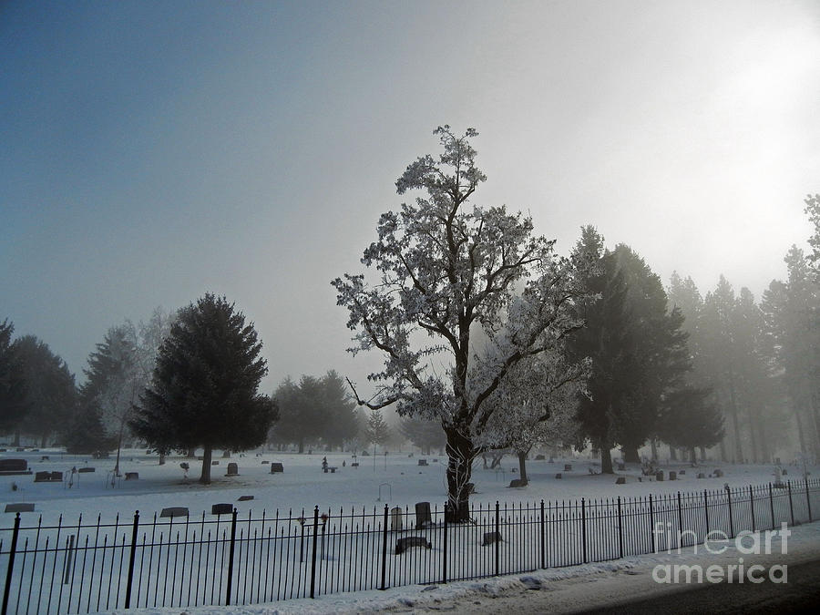 Mist at the Cemetary Photograph by Cindy Murphy - NightVisions 