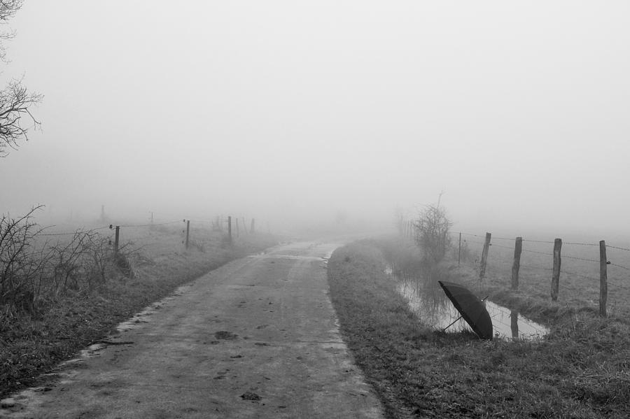 Landscape Photograph - Mist Broullard by Benjamin Gilson