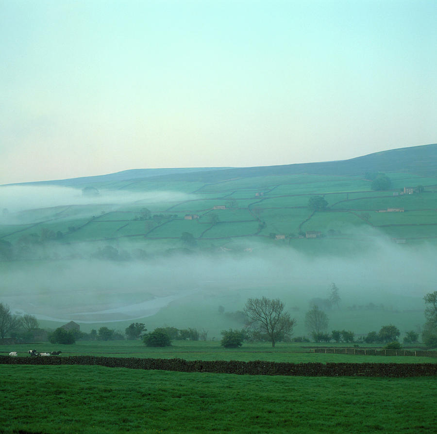 Mist Photograph by Science Photo Library Mist Photograph by Science Photo Library