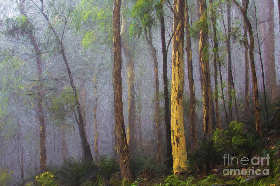 Mist in forest Photograph by Sheila Smart Fine Art Photography