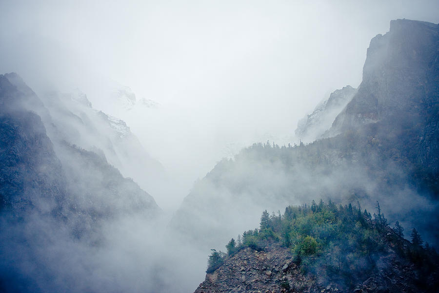 Landscape Photograph - Mist in mountain mystery forest by Raimond Klavins