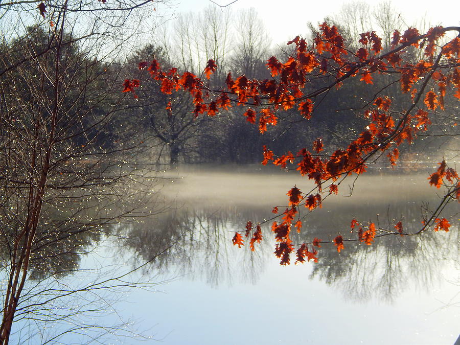Nature Photograph - Mist of the River by Karen Cook