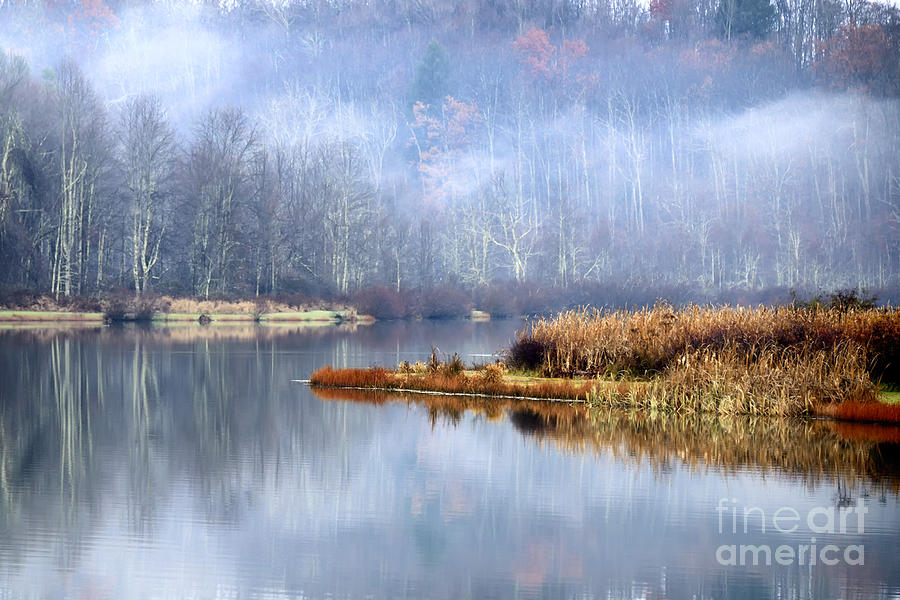 Mist on Lake Photograph by Thomas R Fletcher