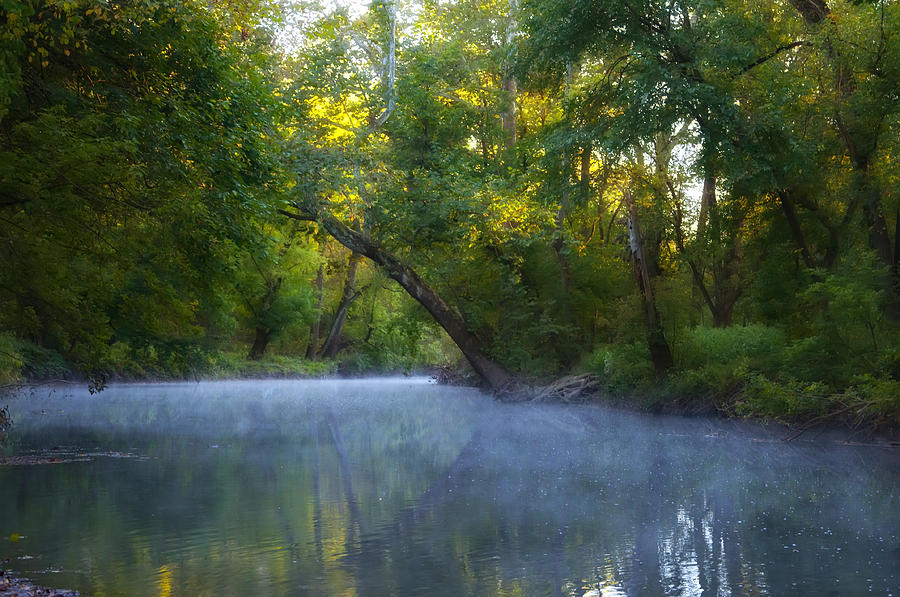 Mist on the Wissahickon Photograph by Bill Cannon