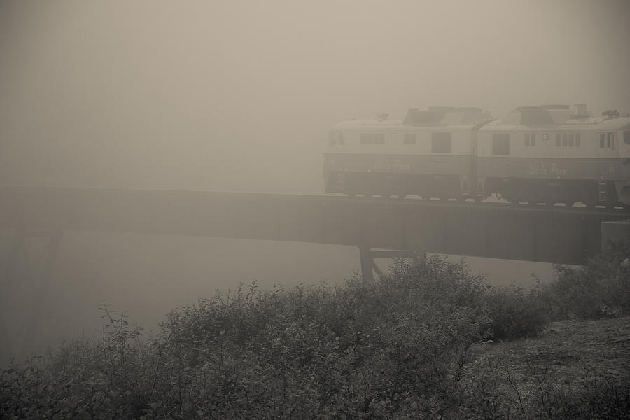 Mist On White Pass Railroad Photograph by Steven Bateson