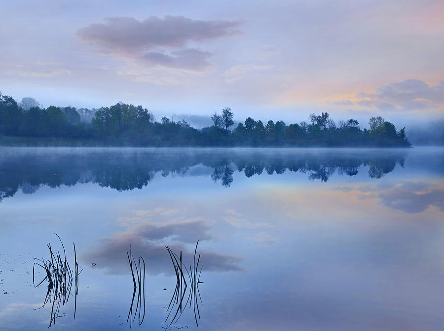 Mist Over Lackawanna Lake Pennsylvania Photograph by Tim Fitzharris