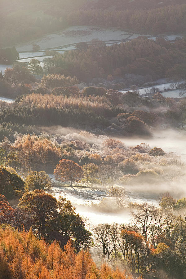 Mist Over The Loweswater Area Of The Photograph by Julian Elliott Photography